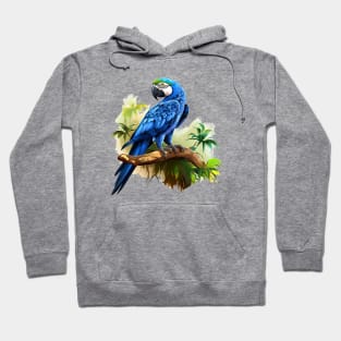 Hyacinth Macaw Hoodie